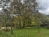 Prodej pozemku , zahrada, Sobchleby (okres Perov)