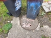29