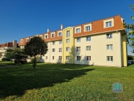 Pronjem bytu 2+1, 65 m2, OV, Stod (okres Plze-jih), ul. K Hjeku