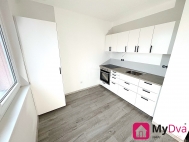 Pronjem bytu 1+1, 32 m2, OV, Teb, Nov Dvory, ul. Obrnc mru