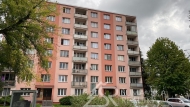 Pronjem bytu 1+1, 0 m2, OV, Suice, Suice II (okres Klatovy), ul. Volovsk