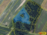 Prodej pozemku , zemdlsk pda, Brodek u Konice (okres Prostjov)