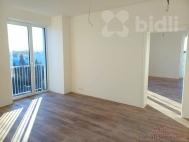 Prodej bytu 2+kk, 117 m2, DV, esk Brod (okres Koln)