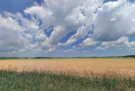 Prodej pozemku 33 092 m2, zemdlsk pda, epe, Hjky (okres Tbor)