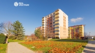 Prodej bytu 3+1, 77 m2, OV, Brno, Kohoutovice (okres Brno-msto), ul. Axmanova