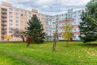 Pronjem bytu 3+1, 79 m2, OV, Plze, Bolevec (okres Plze-msto), ul. lutick - exkluzivn