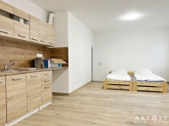 Pronjem bytu 1+kk, 34 m2, OV, Brno, Krlovo Pole (okres Brno-msto), ul. Palackho tda