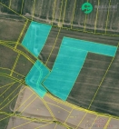 Prodej pozemku , zemdlsk pda, Doln Rove, Komrov (okres Pardubice)