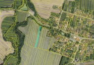 Prodej pozemku , trval� travn� porost, �epe� (okres T�bor)