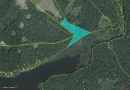 Prodej pozemku , trval� travn� porost, Nov� Byst�ice, Blato (okres Jind�ich�v Hradec)