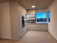 Pron�jem bytu 3+kk, 74 m2, OV, Liberec, Liberec XII-Star� Pavlovice, ul. Poln�