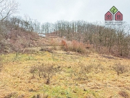 Prodej pozemku , zahrada, �itenice (okres Litom��ice)