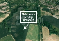 Prodej pozemku , zem�d�lsk� p�da, �ele�ice (okres Brno-venkov)