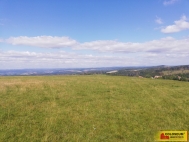 Prodej pozemku , zem�d�lsk� p�da, Velenov (okres Blansko)