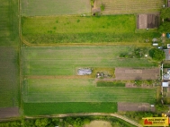 Prodej pozemku , zem�d�lsk� p�da, Brod nad Dyj� (okres B�eclav)