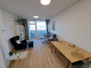 Pron�jem bytu 3+kk, 71 m2, OV, Brno, Trnit� (okres Brno-m�sto), ul. Placzkova