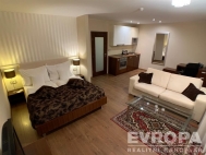 Pron�jem bytu 1+kk, 37 m2, OV, Plze�, Ji�n� P�edm�st� (okres Plze�-m�sto), ul. U Borsk�ho parku