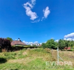 Prodej pozemku , specifick� plocha, Rapot�n (okres �umperk)