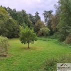 Prodej pozemku , ur�en� k v�stavb� RD, �erno��n, Ostrovce (okres Tachov) - exkluzivn�