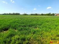 Prodej pozemku , zem�d�lsk� p�da, Telnice (okres Brno-venkov)