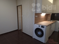 Pron�jem bytu 2+1, 50 m2, OV, Plze�, Skvr�any (okres Plze�-m�sto) - exkluzivn�