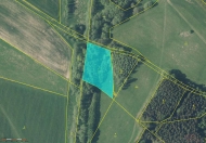 Prodej pozemku 4 529 m2, trval� travn� porost, Broumov, Ro�mit�l (okres N�chod)