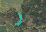 Prodej pozemku 11 777 m2, zem�d�lsk� p�da, ���ov�, K�e�ice (okres P�sek)