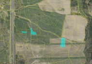 Prodej pozemku 24 390 m2, zem�d�lsk� p�da, P�edotice, Podol� II (okres P�sek)