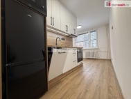 Pron�jem bytu 1+1, 42 m2, OV, �st� nad Labem, Severn� Terasa, ul. Zvonkov�