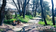 Prodej pozemku , ur�en� k v�stavb� RD, T�nec nad S�zavou (okres Bene�ov)