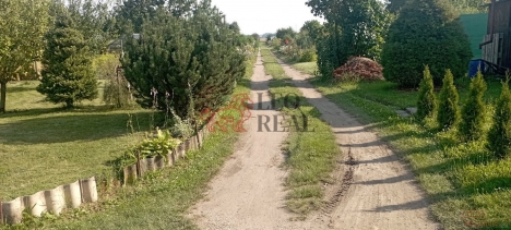 p��jezdov� cesta.jpg