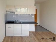 Pron�jem bytu 1+kk, 20 m2, OV, Chodov (okres Sokolov), ul. Palack�ho