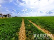 Prodej pozemku , zem�d�lsk� p�da, �ist� (okres Mlad� Boleslav)