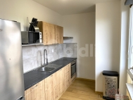 Prodej bytu 2+1, 50 m2, DV, �esk� T��n (okres Karvin�), ul. Fr�deck� - exkluzivn�