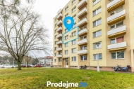 Pron�jem bytu 1+1, 34 m2, OV, Znojmo, ul. Pra�sk�