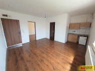 Pron�jem bytu 1+1, 30 m2, OV, Studnice (okres Vy�kov)