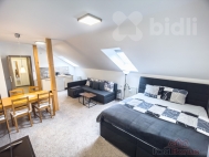 Prodej bytu 1+kk, 62 m2, OV, Jesen�k, ul. Zeyerova - exkluzivn�