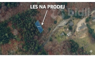 Prodej pozemku , les, Tanvald, �umburk nad Desnou (okres Jablonec nad Nisou) - exkluzivn�