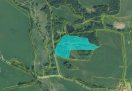 Prodej pozemku , trval� travn� porost, Ho��ka (okres Tachov) - exkluzivn�