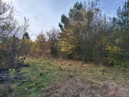 Prodej pozemku , trval� travn� porost, Brno, Bystrc (okres Brno-m�sto)