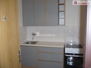 Pron�jem bytu 1+1, 35 m2, OV, D���n, D���n III-Star� M�sto, ul. Litom��ick�