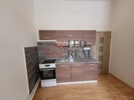 Pron�jem bytu 1+kk, 0 m2, OV, Kamenick� �enov (okres �esk� L�pa), ul. Havl��kova