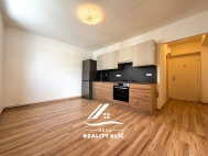 Pron�jem bytu 2+1, 55 m2, OV, Doln� Bene�ov (okres Opava), ul. Osada m�ru