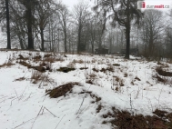 Prodej pozemku , ur�en� k v�stavb� RD, Jind�ichovice (okres Sokolov)