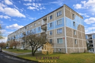Prodej bytu 3+1, 64 m2, OV, Milovice, Bo�� Dar (okres Nymburk), ul. Kr�tk�