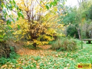 Prodej pozemku , zahrada, Dyje (okres Znojmo)