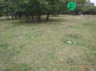 Prodej pozemku , ur�en� k v�stavb� RD, Konstantinovy L�zn�, Dlouh� Hradi�t� (okres Tachov)