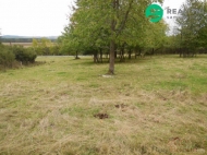 Prodej pozemku , ur�en� k v�stavb� RD, Konstantinovy L�zn�, Dlouh� Hradi�t� (okres Tachov)