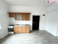 Pron�jem bytu 1+1, 53 m2, OV, Byst�any, Sv�tice (okres Teplice), ul. Pra�sk�