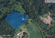 Prodej pozemku , les, Semily, B�touchov